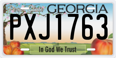 GA license plate PXJ1763