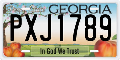 GA license plate PXJ1789