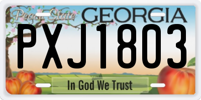GA license plate PXJ1803