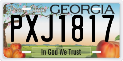 GA license plate PXJ1817