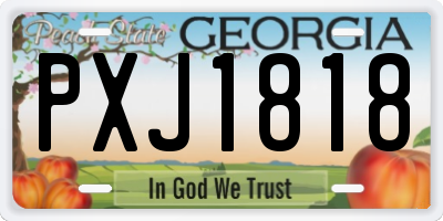 GA license plate PXJ1818