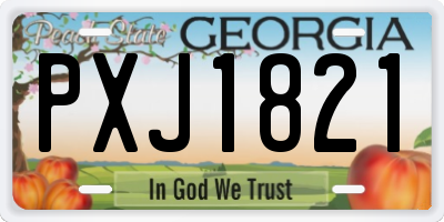 GA license plate PXJ1821
