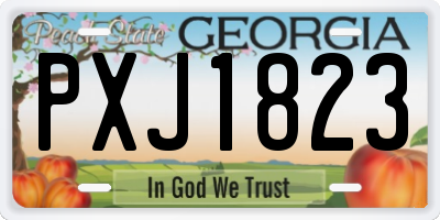GA license plate PXJ1823