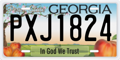 GA license plate PXJ1824