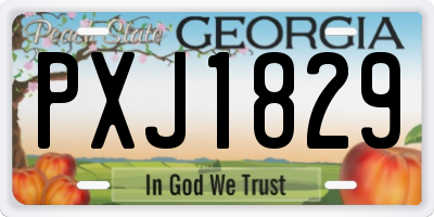 GA license plate PXJ1829