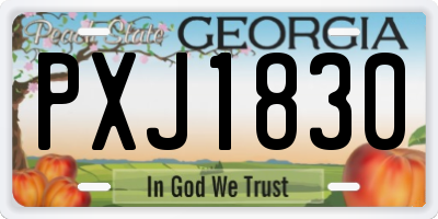 GA license plate PXJ1830
