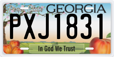 GA license plate PXJ1831