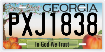GA license plate PXJ1838