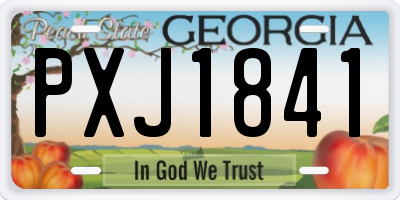 GA license plate PXJ1841