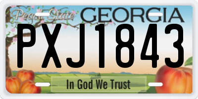 GA license plate PXJ1843