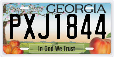 GA license plate PXJ1844