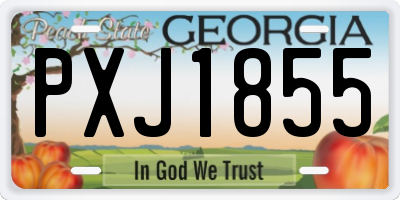 GA license plate PXJ1855
