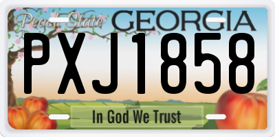 GA license plate PXJ1858