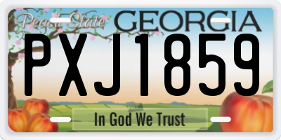 GA license plate PXJ1859