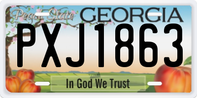 GA license plate PXJ1863