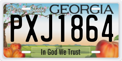 GA license plate PXJ1864
