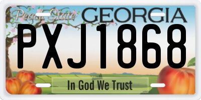 GA license plate PXJ1868