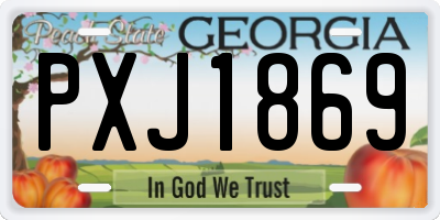 GA license plate PXJ1869
