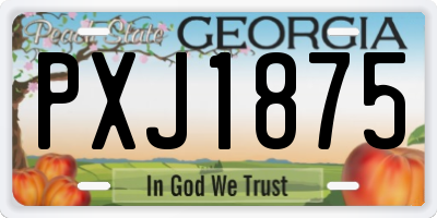 GA license plate PXJ1875