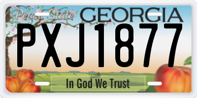 GA license plate PXJ1877