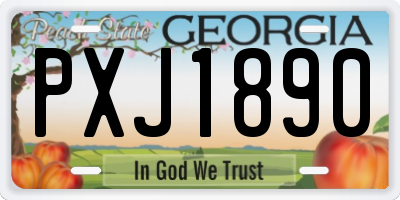 GA license plate PXJ1890