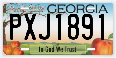 GA license plate PXJ1891