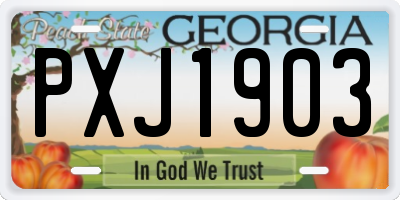 GA license plate PXJ1903