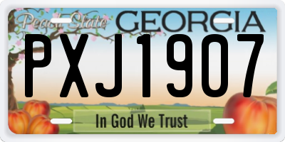 GA license plate PXJ1907