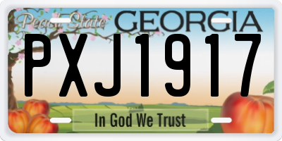 GA license plate PXJ1917