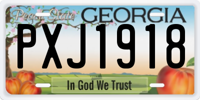 GA license plate PXJ1918