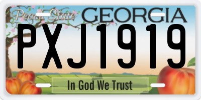 GA license plate PXJ1919