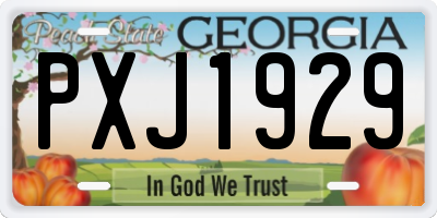 GA license plate PXJ1929
