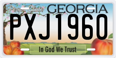 GA license plate PXJ1960