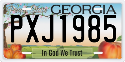 GA license plate PXJ1985
