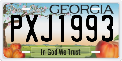 GA license plate PXJ1993