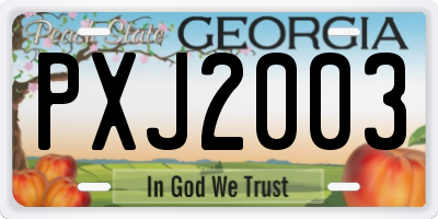 GA license plate PXJ2003