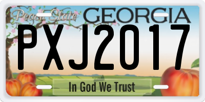 GA license plate PXJ2017