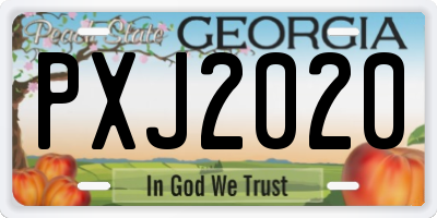 GA license plate PXJ2020