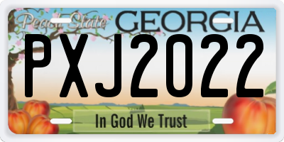 GA license plate PXJ2022