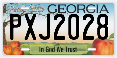 GA license plate PXJ2028