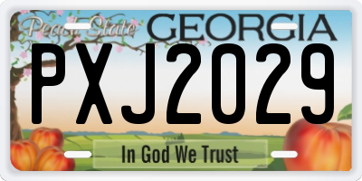 GA license plate PXJ2029