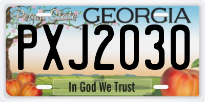 GA license plate PXJ2030