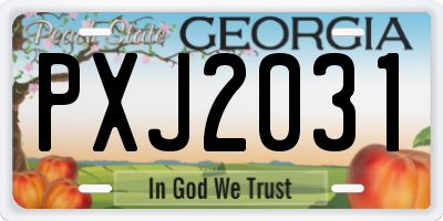 GA license plate PXJ2031