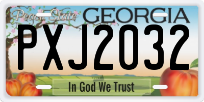 GA license plate PXJ2032
