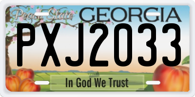 GA license plate PXJ2033