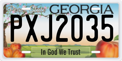 GA license plate PXJ2035