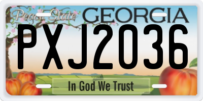 GA license plate PXJ2036