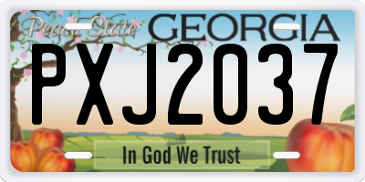 GA license plate PXJ2037