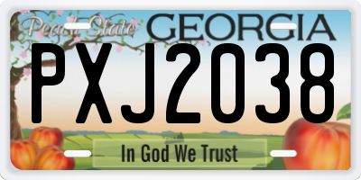 GA license plate PXJ2038