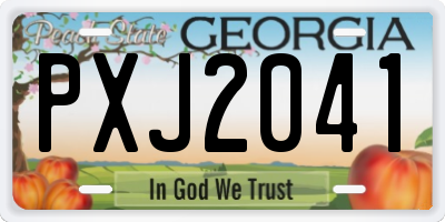 GA license plate PXJ2041